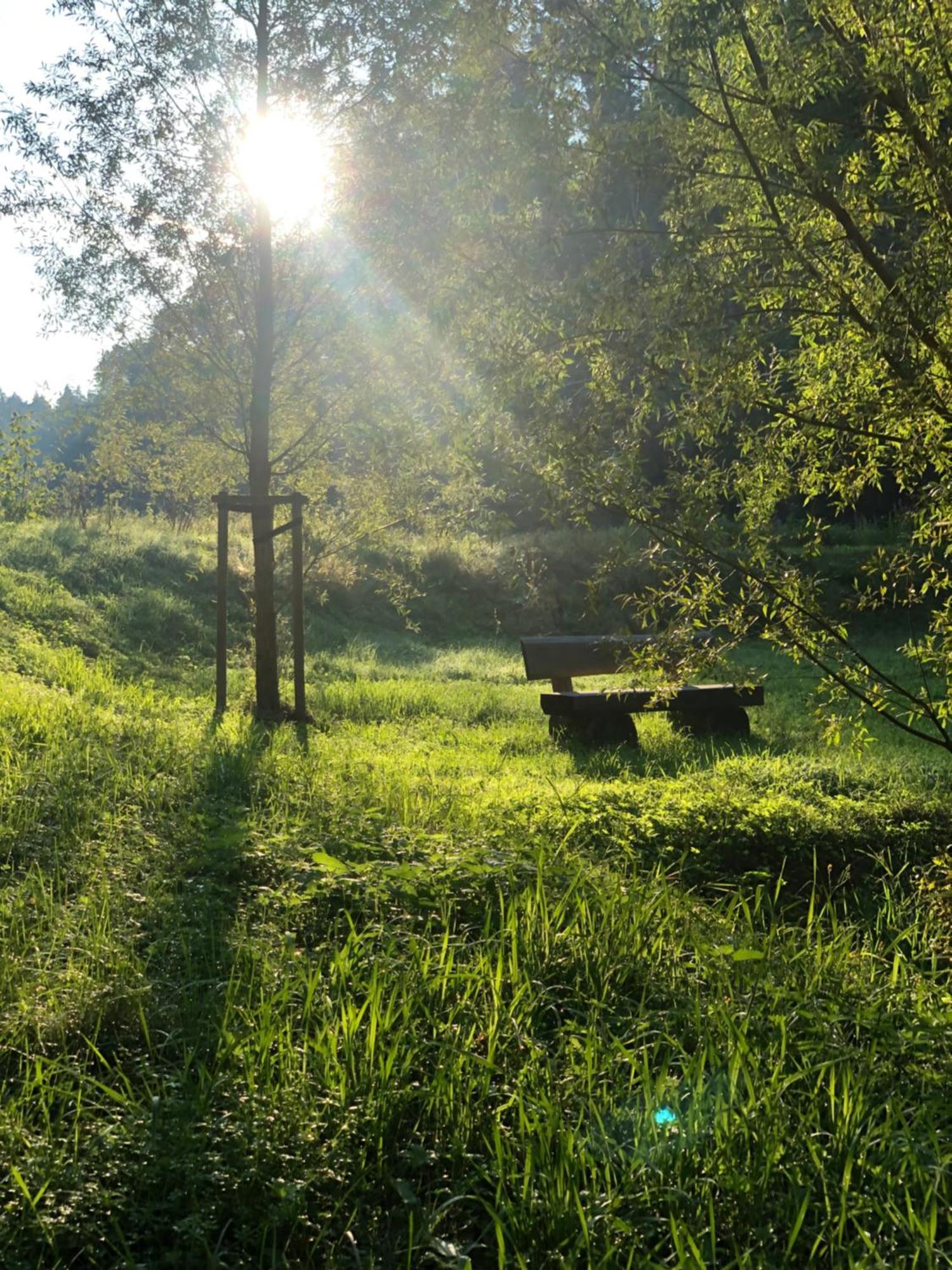Waldhotel Linzmuehle Kahla  Buitenkant foto