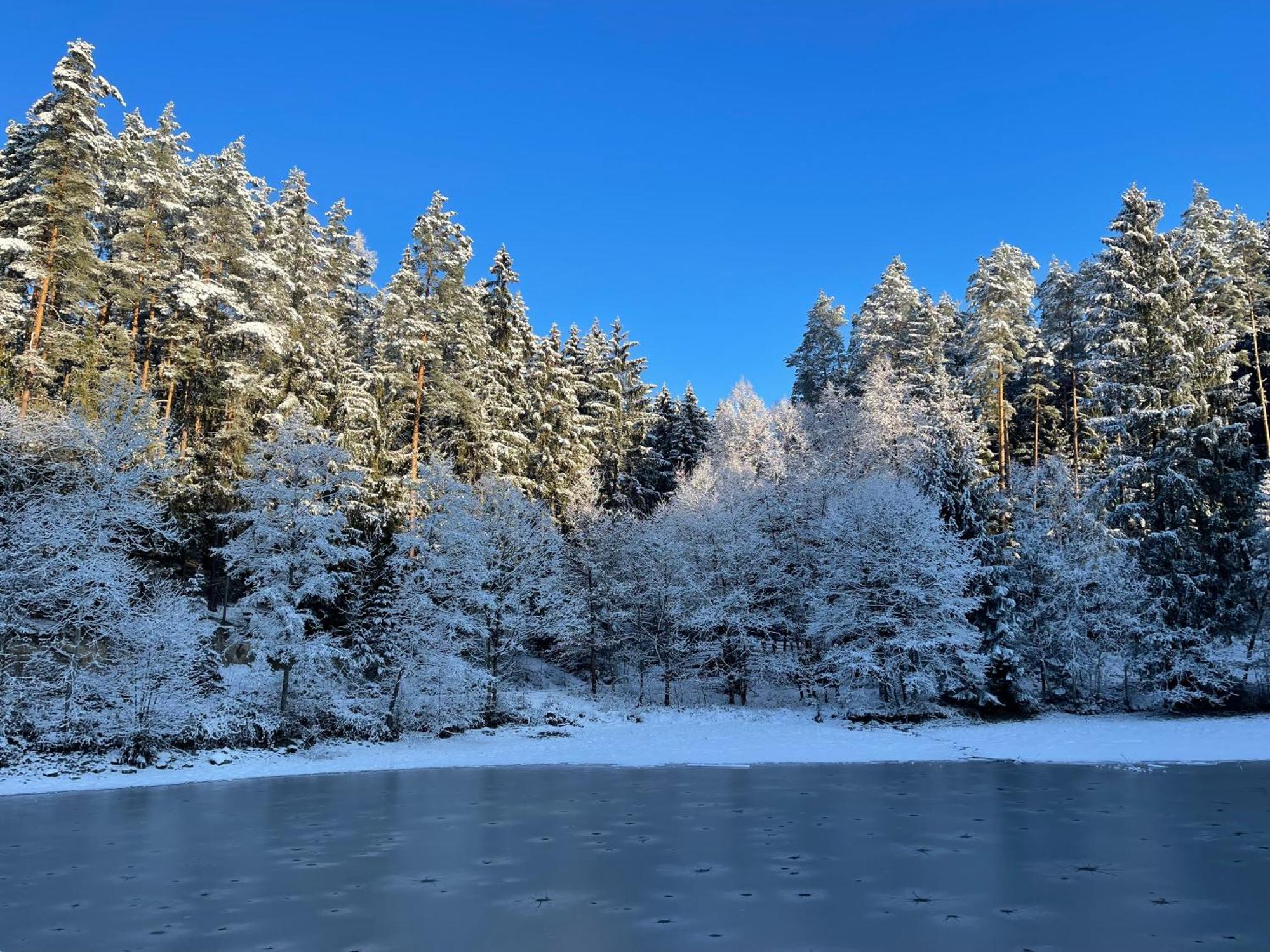 Waldhotel Linzmuehle Kahla  Buitenkant foto