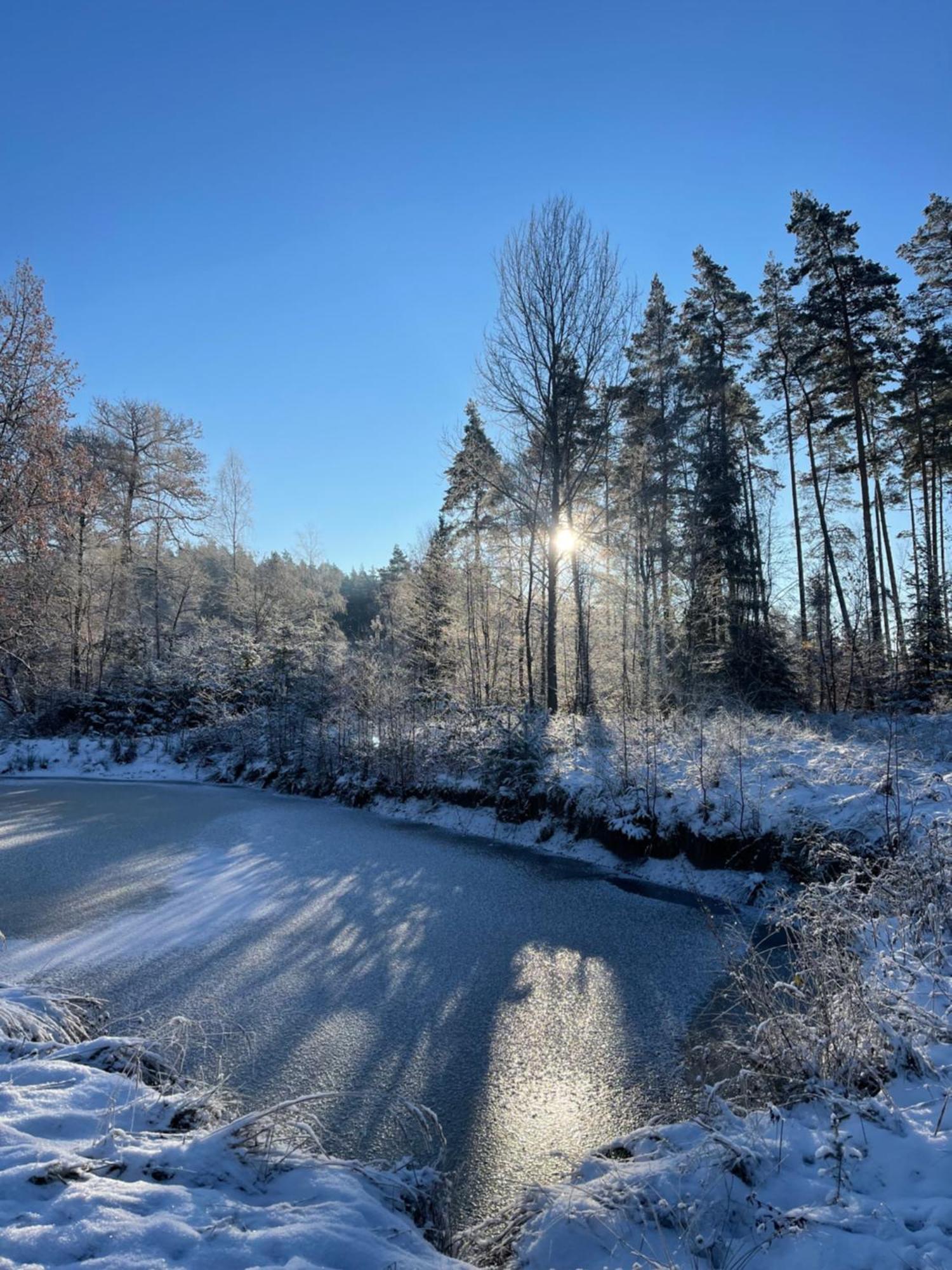 Waldhotel Linzmuehle Kahla  Buitenkant foto