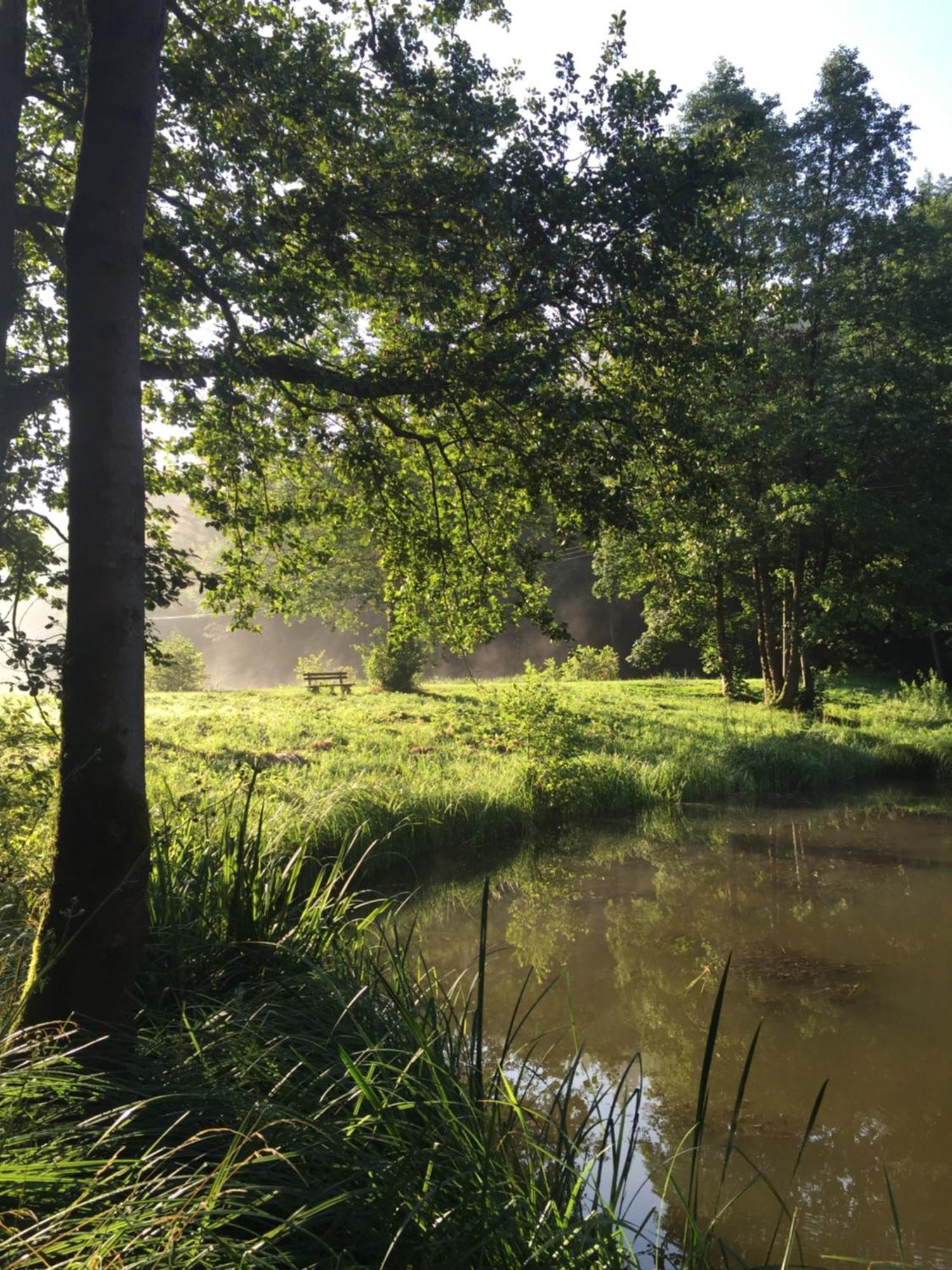 Waldhotel Linzmuehle Kahla  Buitenkant foto