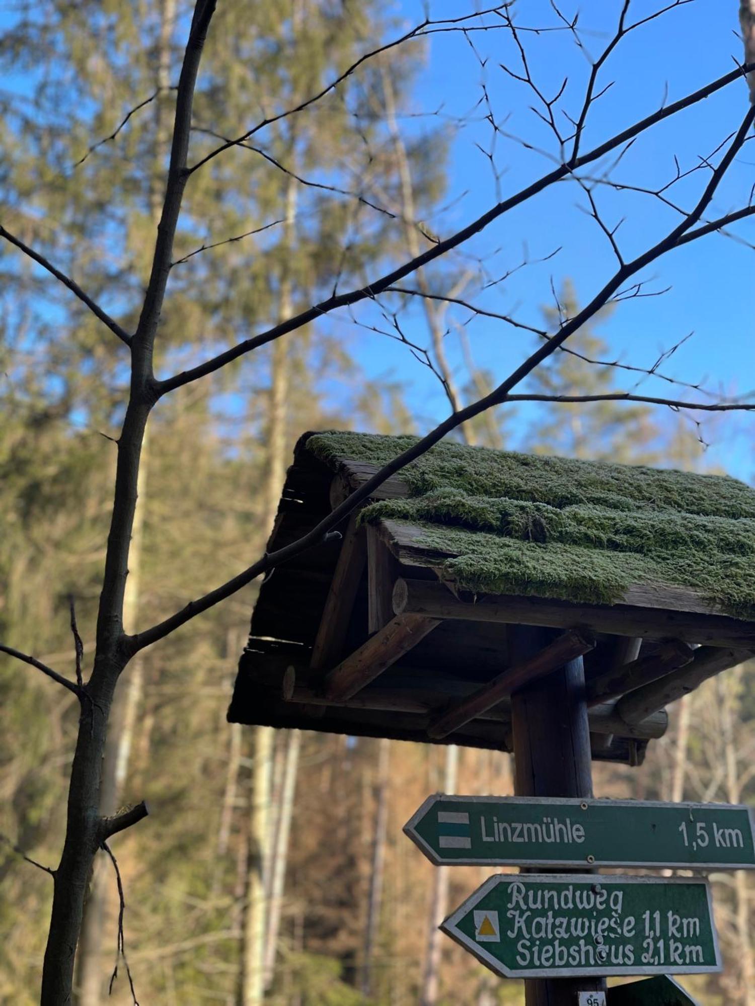 Waldhotel Linzmuehle Kahla  Buitenkant foto