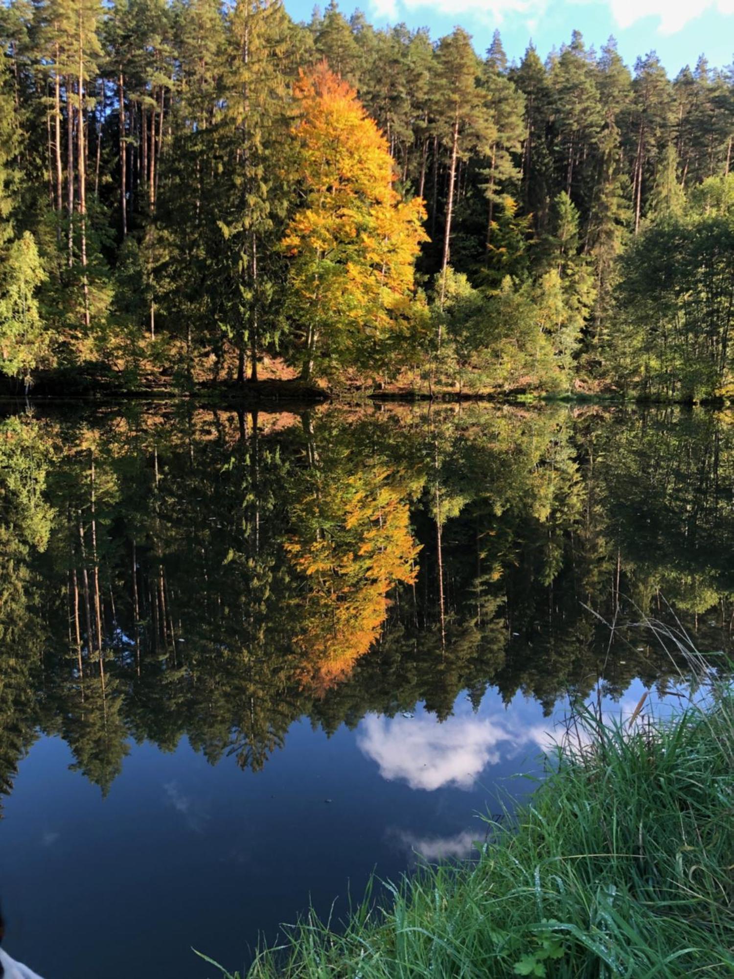 Waldhotel Linzmuehle Kahla  Buitenkant foto